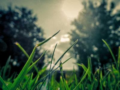 Plantation Bay Resort